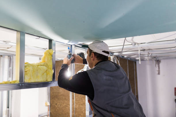 Best Spray Foam Insulation in St Gabriel, LA