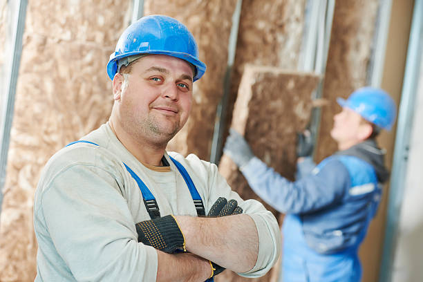 Best Specialized Insulation Services in St Gabriel, LA